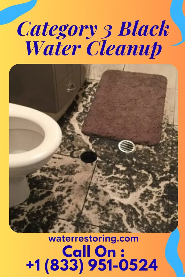 Category 3 Black Water Cleanup in Fruitland, ID